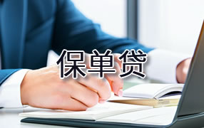 聊城保单贷