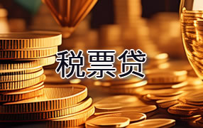 聊城税票贷
